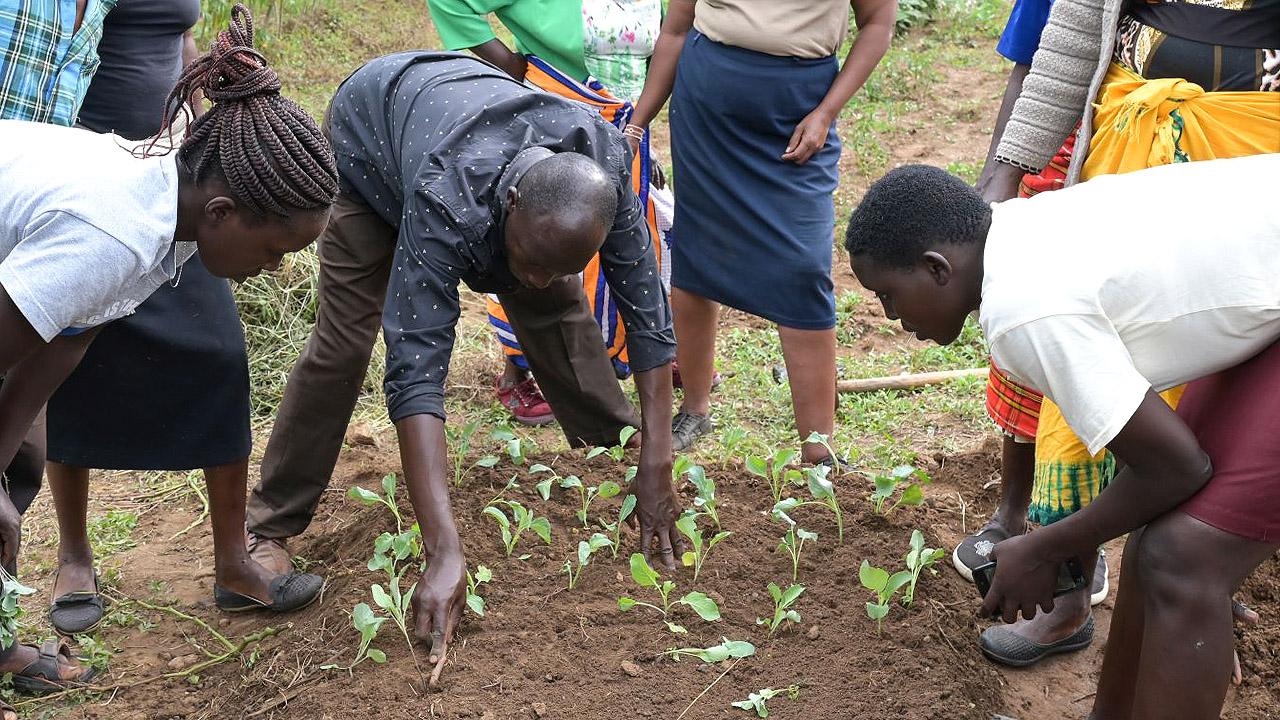 "Brot für die Welt" unterstützt Schulungen in Anbaumethoden Menschen pflanzen Ackerpflanzen in den Boden