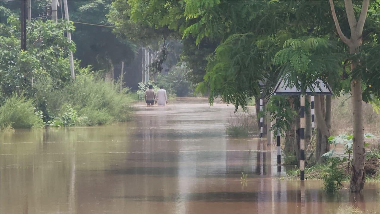 Überschwemmung Amritsar Überflutete Landschaft, Menschen laufen im Wasser