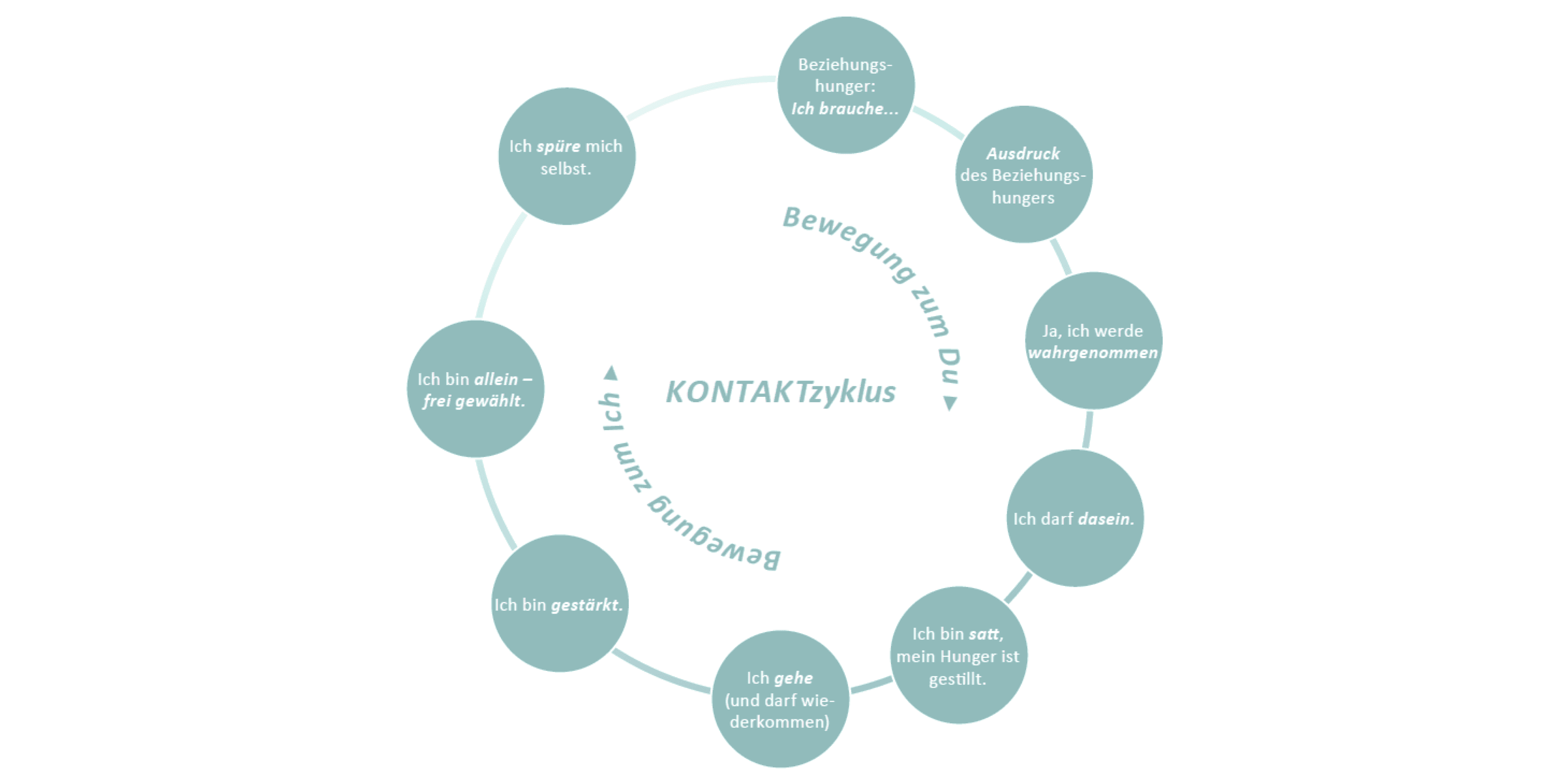 Kontaktzyklus