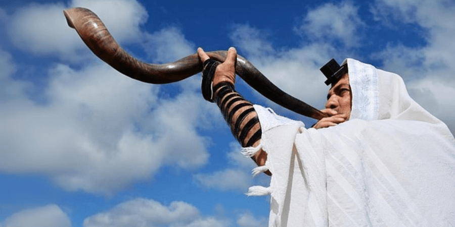 Ein Widderhorn, auf Hebräisch »Schofar«