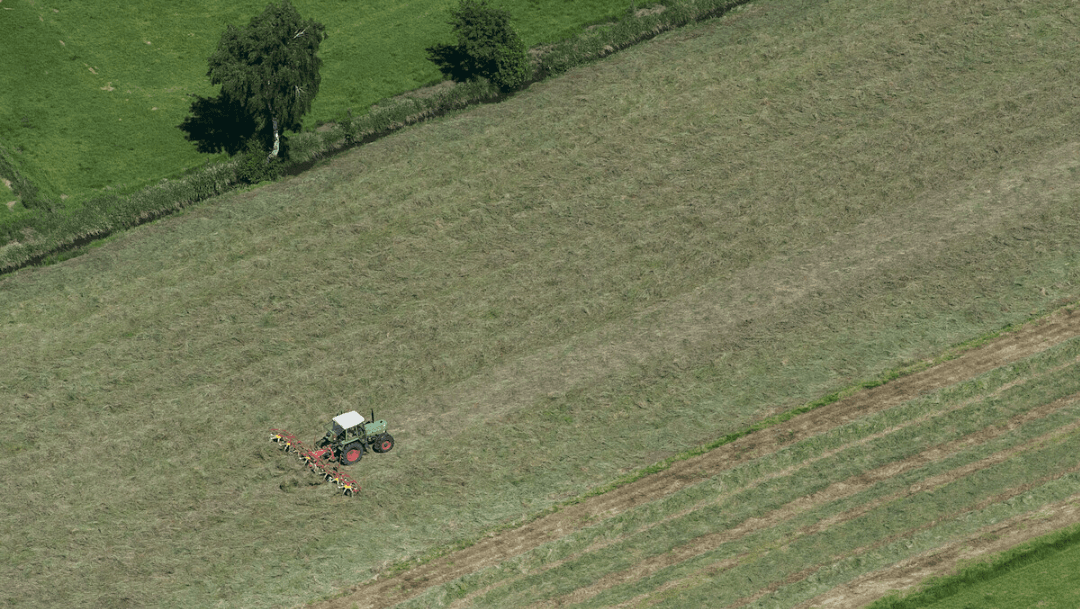 Ackerbau Ein Traktor auf einem langen grünen Feld. Oberhalb befinden sich zwei Bäume