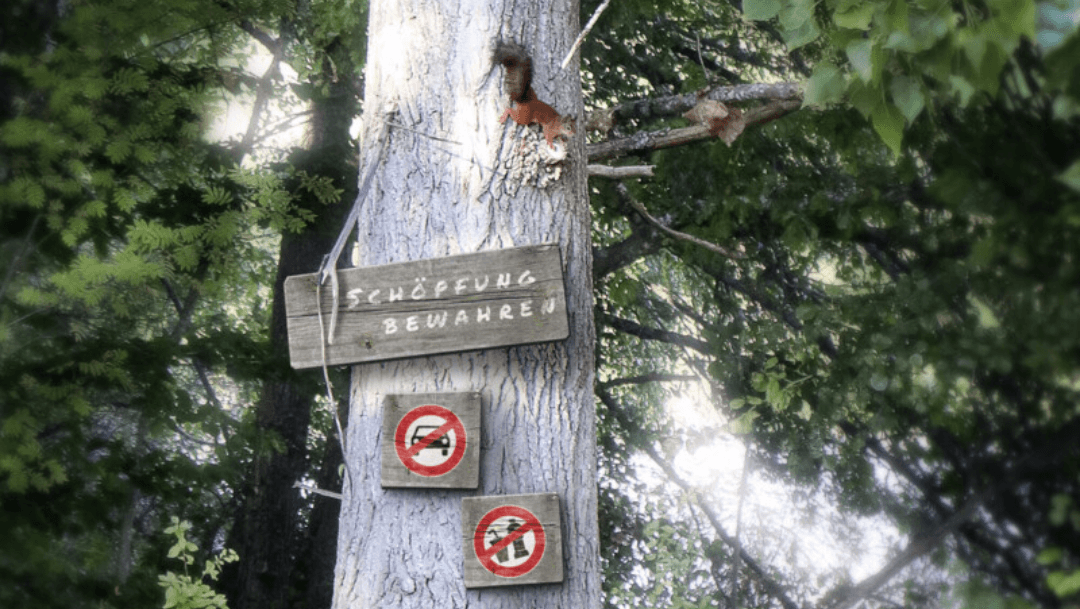 Teil eines Baumstammes im Wald. Auf diesem läuft ein Eichhörnchen. Zudem ist ein großes Schild angebracht: Schöpfung bewahren. Zwei kleinere Verbotsschilder hängen darunter: Keine Autos, keine Flaschen. Im Hintergrund ist ein Wald erkennbar. 