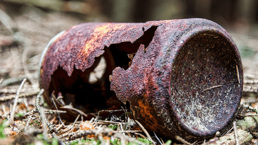 Verrostete Dose FUNDUS Jürgen Treiber Das Bild zeigt gänzlich eine stark verrostete Dose. Im Hintergrund ist etwas Wald erkennbar.