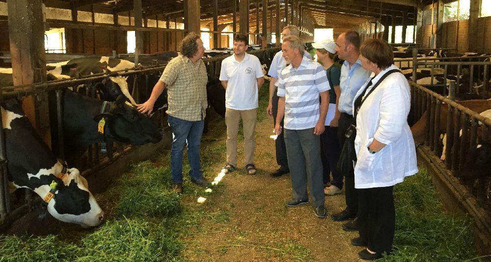 Menschengruppe im Mittelgang eines Kuhstalls