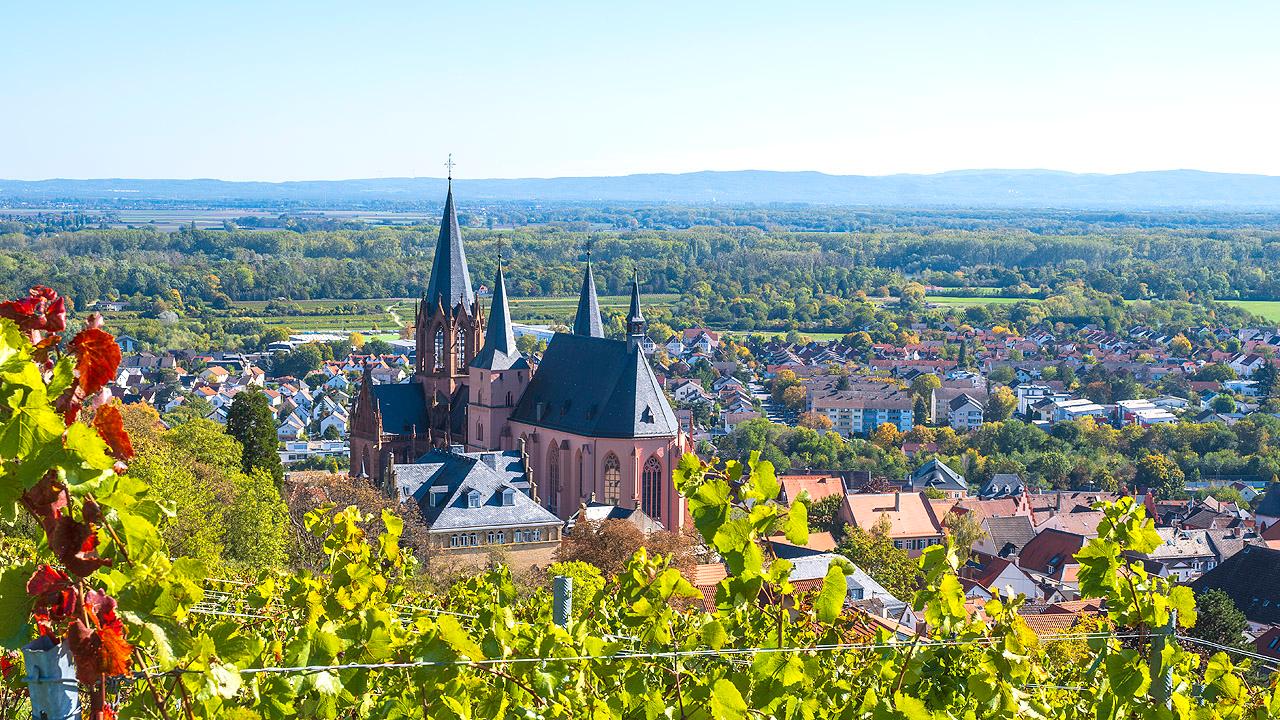 Propstei Rheinhessen und Nassauer Land Große Kirche inmitten von Weinbergen, im Hintergrund eine Kleinstadt
