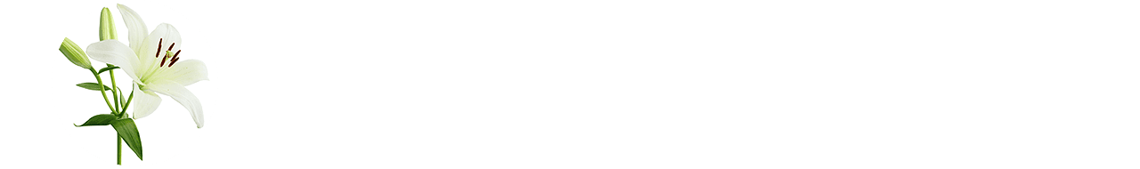 Trauerblumen Lilien Lilie