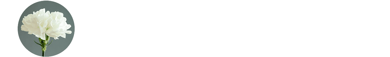 Trauerblume weiße Nelke weiße Nelke