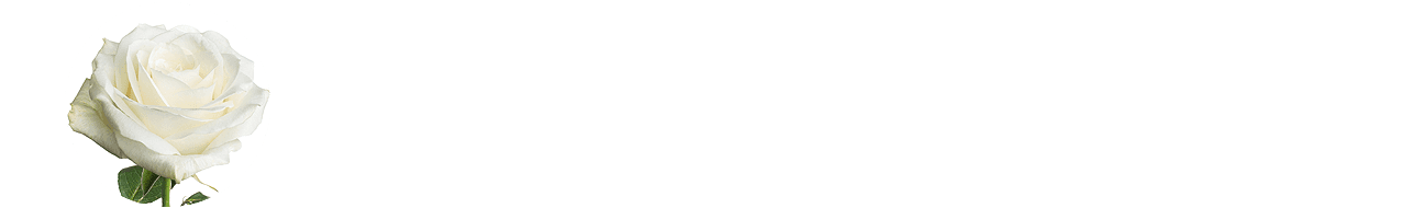 Trauerblumen weiße Rosen weiße Rose