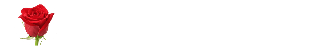 Trauerblumen rote Rosen Trauerblumen rote Rosen