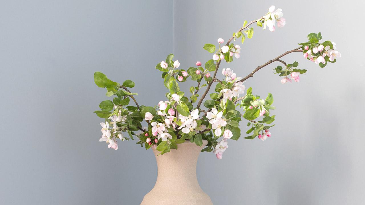 Vase mit Apfelbaumblüten