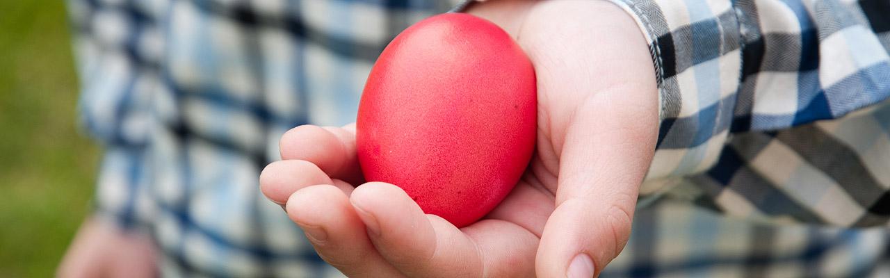Ostereierweitwurf Osterei in der Hand eines Mannes