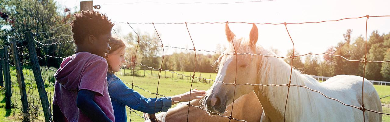 Spaziergang Zwei Kinder am Zaun einer Pferdeweide