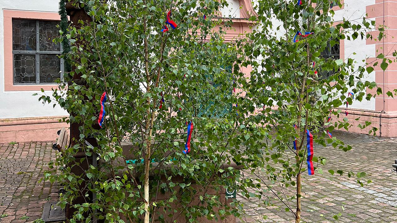 Pfingstbrunnen Brunnen, der von Birkengrün verdeckt wird