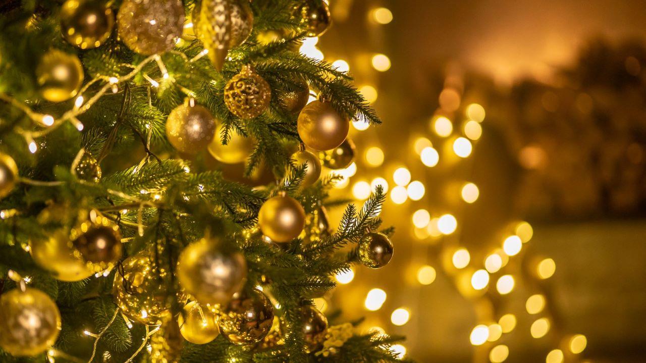 Ein Weihnachtsbaum im Anschnitt in vollem Schmuck