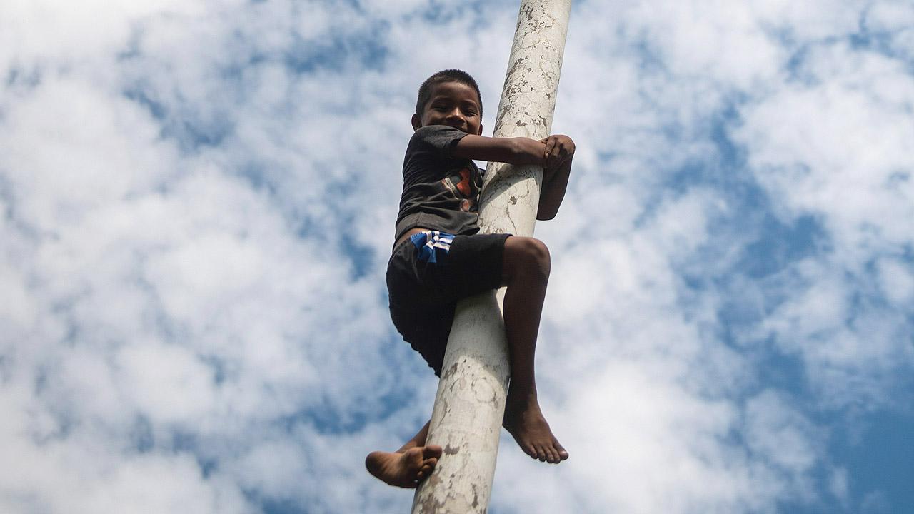 Kind klettert an einer Palme hoch
