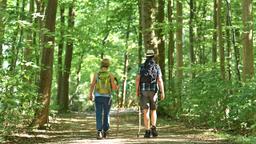 Ein Paar läuft durch den Wald
