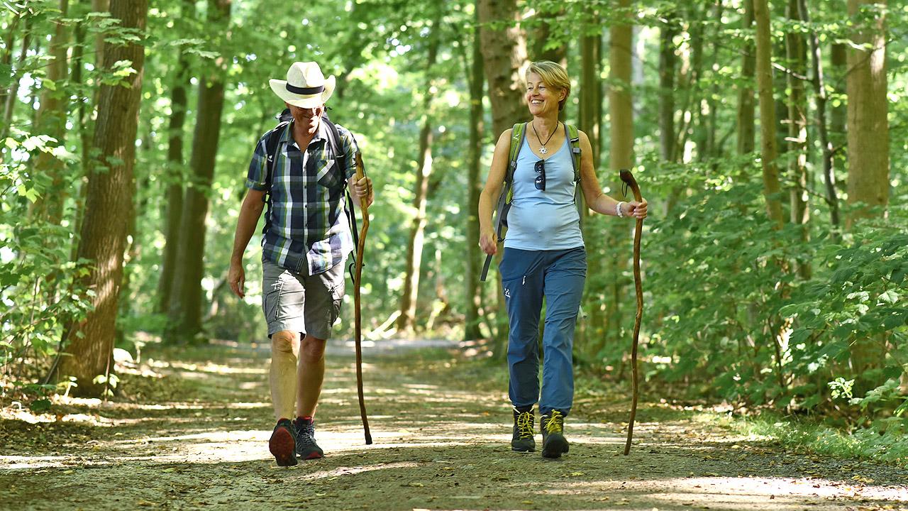 Ein Paar läuft durch den Wald