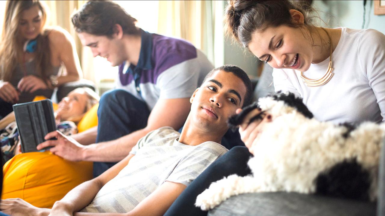 Freunde auf der Couch Freunde mit einem Hund auf der Couch