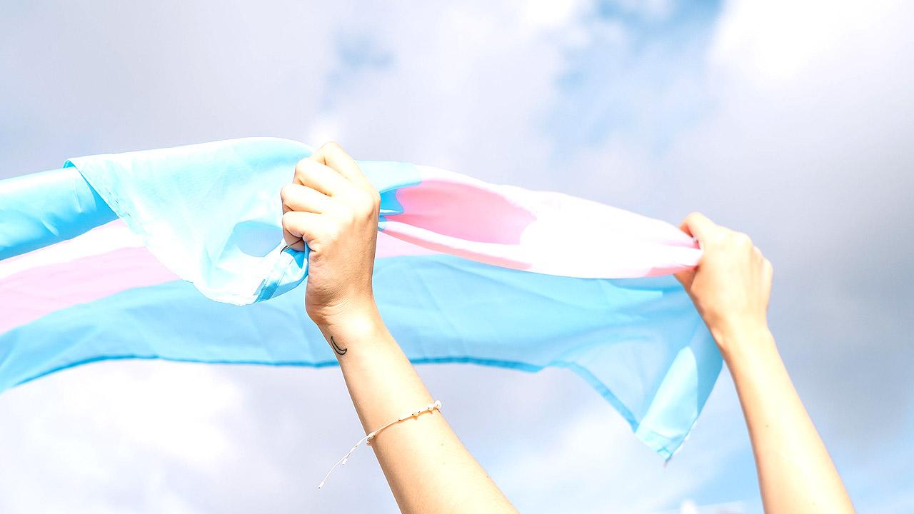 Transfahne mit weiß, rosa und hellblau