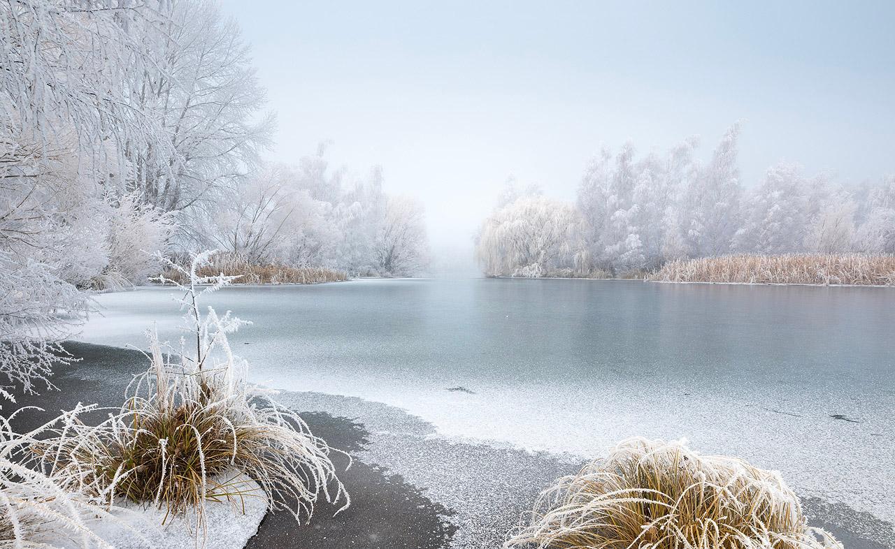 Winterlandschaft Ein See im Winter. Bäume und lange Gräser sind mit Raureif bedeckt