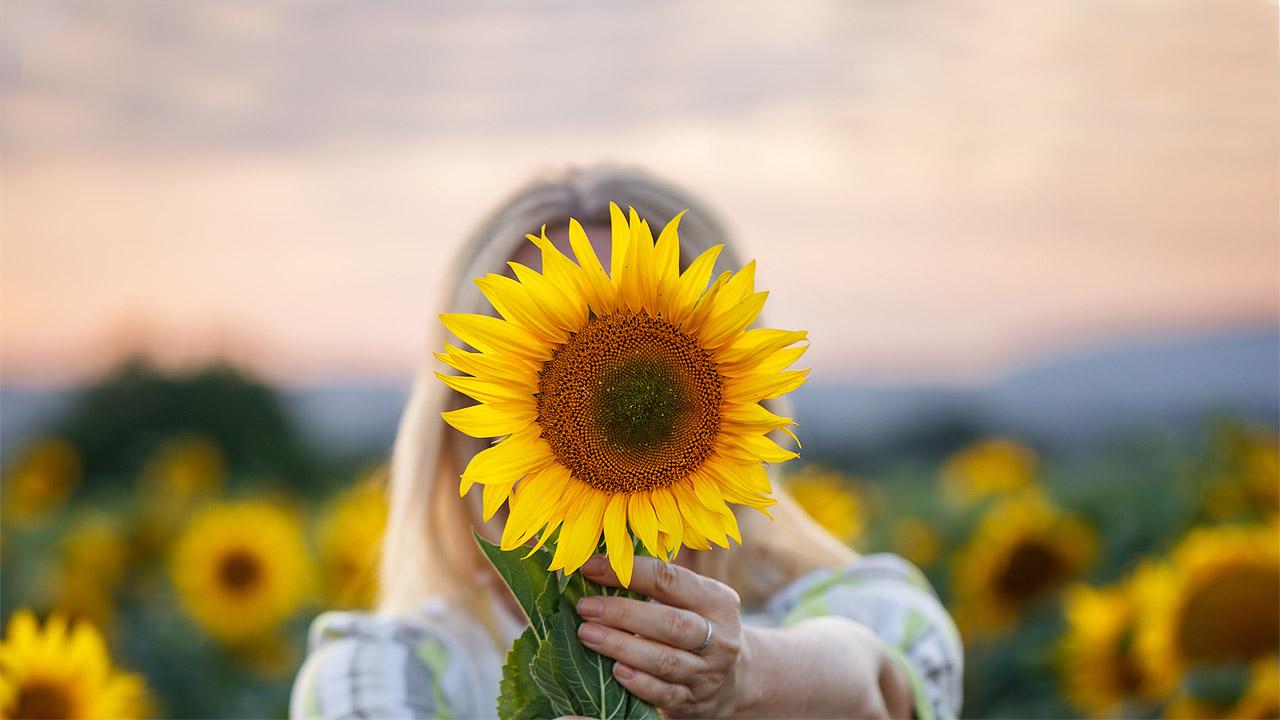 Eine Frau hält eine Sonnenblume vor ihr Gesicht