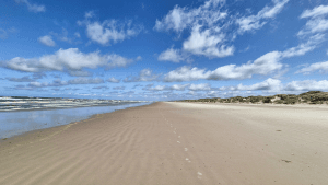 Strand in Dänemark